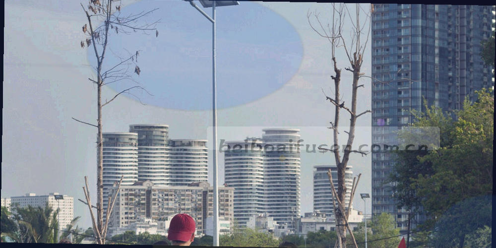 盾牌与数据流结合的抽象线条画，象征个人信息保护